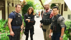 Hawaii Five-0, Season 5 Episode 8 image