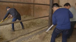 Ang probinsyano, Season 8 Episode 30 image