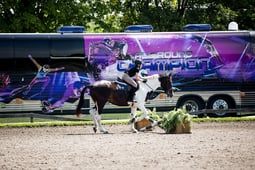 All-Round Champion, Season 1 Episode 3 image