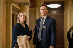 Law & Order, Season 22 Episode 20 image