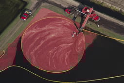 Aerial America, Season 6 Episode 2 image