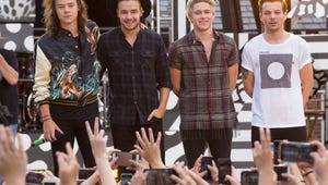One Direction Reveals They've Been Skinny Dipping and Hooked Up With Fans on Ellen