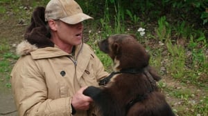 Dr. Oakley, Yukon Vet, Season 9 Episode 1 image