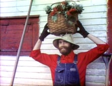 Sesame Street, Season 10 Episode 20 image