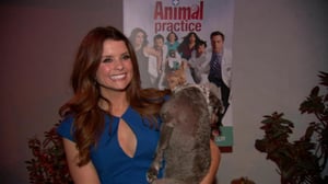Animal Practice, Season 1 Episode 2 image
