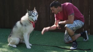 Lucky Dog, Season 4 Episode 17 image