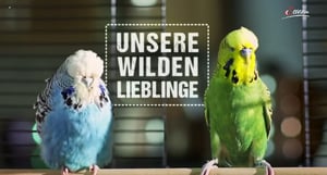 Terra Mater, Season 1 Episode 173 image