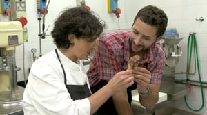 The Voyager with Josh Garcia, Season 1 Episode 18 image