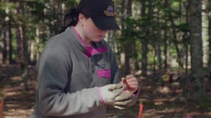 The Curse of Oak Island, Season 11 Episode 12 image