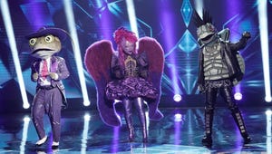 We Didn't Expect This Masked Singer Contestant to Win, But At Least We Correctly Guessed Their Identity