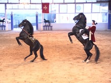 Discovering the World, Season 1 Episode 11 image