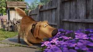 Dug Days, Season 1 Episode 3 image