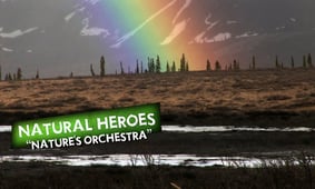 Natural Heroes, Season 7 Episode 4 image