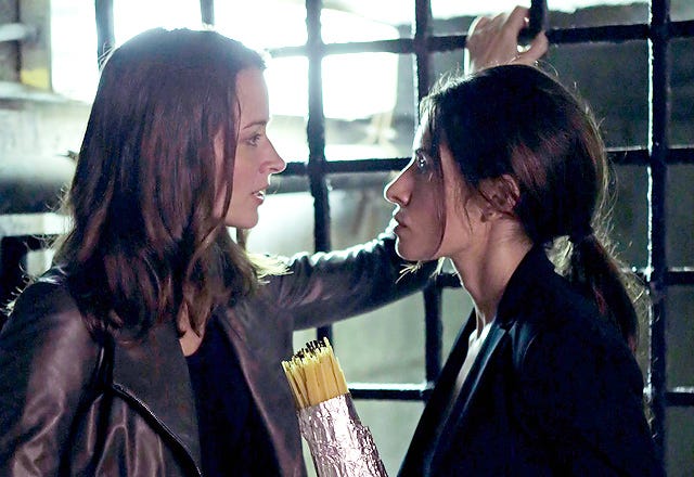 Sarah Shahi and Amy Acker Give Us a Debriefing on Their Person of Interest Characters