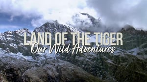 Our Wild Adventures, Season 1 Episode 8 image