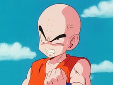 Dragon Ball Z, Season 1 Episode 24 image