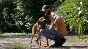 Pit Bulls and Parolees, Season 13 Episode 7 image