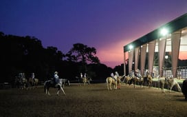 Little Britches Rodeo, Season 9 Episode 2 image