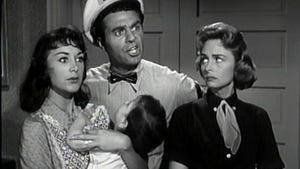 The Donna Reed Show, Season 1 Episode 6 image