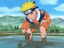Naruto, Season 1 Episode 161 image