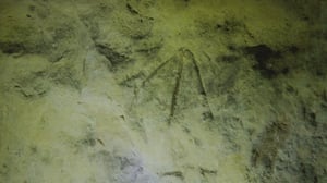 The Curse of Oak Island, Season 11 Episode 23 image