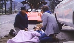 Hardcastle and McCormick, Season 2 Episode 17 image