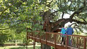 Treehouse Masters, Season 7 Episode 1 image