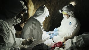 Pandemic: How to Prevent an Outbreak, Season 1 Episode 3 image