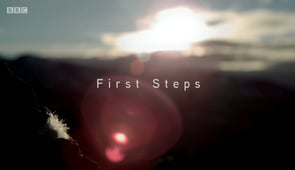 Life Story, Season 1 Episode 1 image