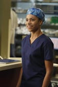 Grey's Anatomy, Season 11 Episode 11 image