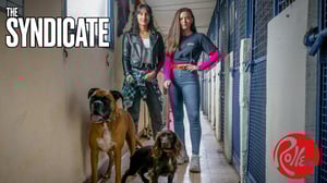 The Syndicate, Season 4 Episode 3 image