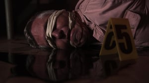 In Plain Sight, Season 1 Episode 22 image