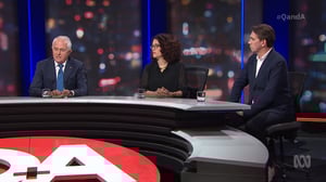 Q&A, Season 17 Episode 2 image