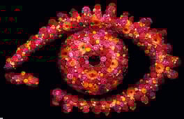 Big Brother, Season 11 Episode 1 image