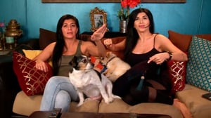 The People's Couch, Season 4 Episode 6 image
