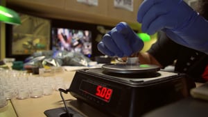 Bud Empire, Season 1 Episode 6 image