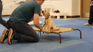 Weird But True, Season 1 Episode 4 image