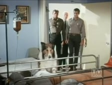 Lassie, Season 15 Episode 4 image