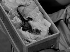 Leave It to Beaver, Season 1 Episode 2 image