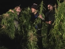 Trailer Park Boys, Season 4 Episode 8 image