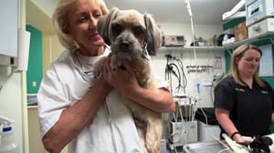 Dr. Dee: Alaska Vet, Season 1 Episode 1 image