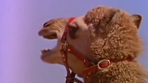 Lancelot Link: Secret Chimp, Season 1 Episode 6 image