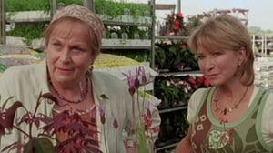 Rosemary & Thyme, Season 2 Episode 8 image