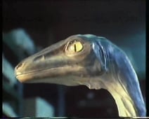 Horizon, Season 18 Episode 8 image