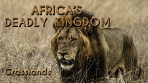 Africa's Deadly Kingdoms, Season 1 Episode 5 image