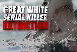 Shark Week, Season 33 Episode 3 image