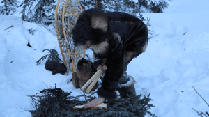 Life Below Zero, Season 3 Episode 9 image