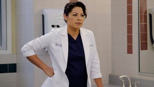 Shonda Rhimes Reveals the Real Reason Callie Didn't Return to Grey's Anatomy