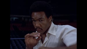 The Six Million Dollar Man, Season 2 Episode 17 image