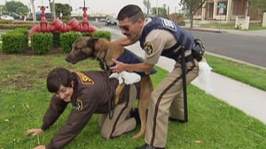 Reno 911!, Season 5 Episode 16 image
